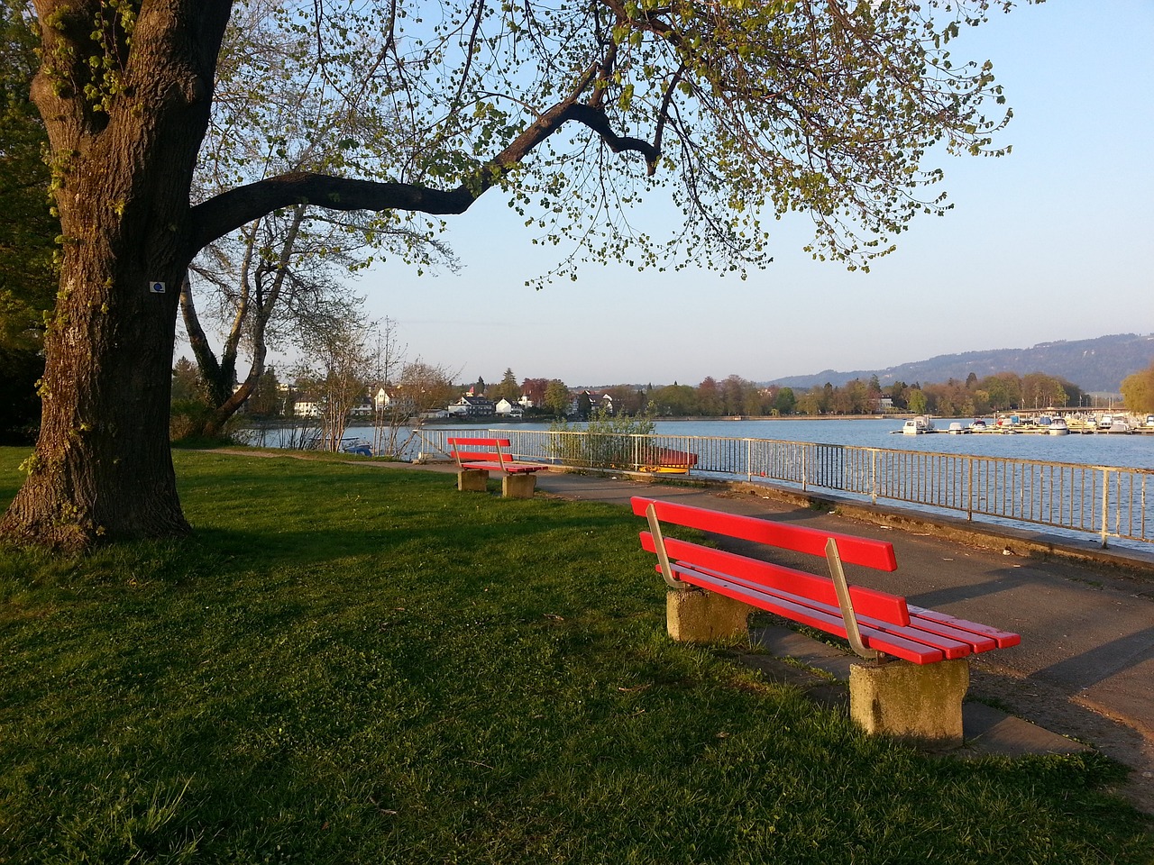 刘俊茜虽然 刘俊茜虽然
