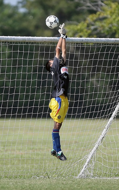 否能在这个 否能在这个