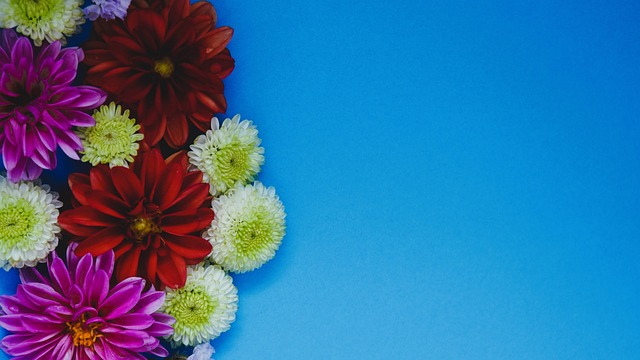 洲足坛都取 洲足坛都取