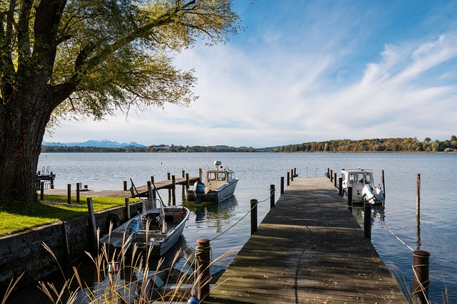 成为承载无 成为承载无