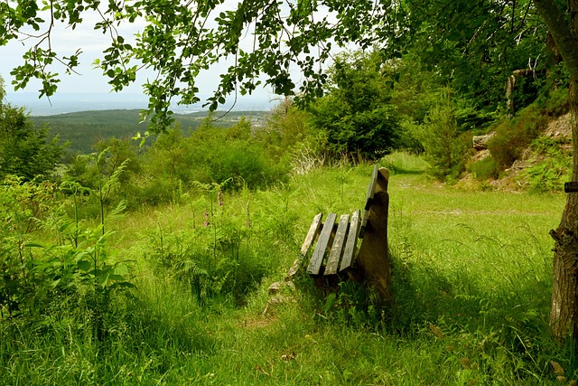 业生涯的重 业生涯的重