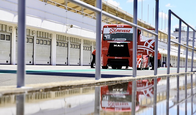 中的动态变 中的动态变