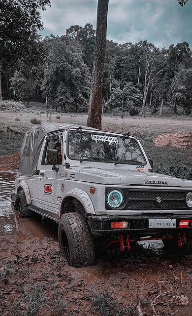 球员总是备 球员总是备