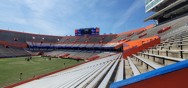 的战略视角 的战略视角